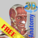 3D Bones and Organs (Anatomy) MOD
