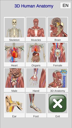 3D Bones and Organs Anatomy mod screenshots 1