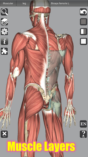 3D Bones and Organs Anatomy mod screenshots 3