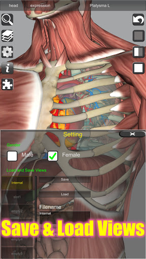 3D Bones and Organs Anatomy mod screenshots 4