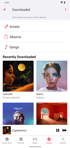 Apple Music mod screenshots 3