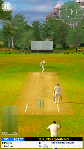 Cricket Megastar mod screenshots 2