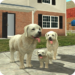 Dog Sim Online: Raise a Family MOD