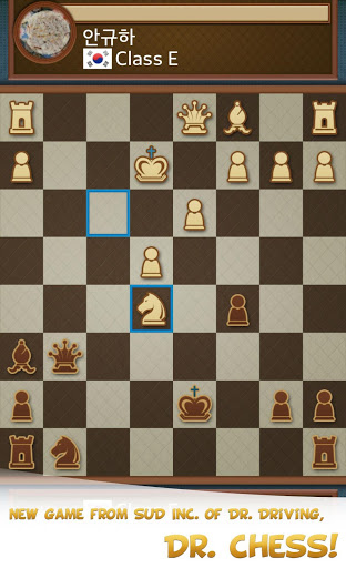 Dr. Chess mod screenshots 3