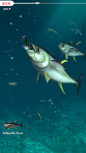 Rapala Fishing – Daily Catch mod screenshots 5