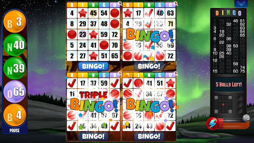 Absolute Bingo- Free Bingo Games Offline or Online mod screenshots 2
