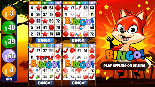 Absolute Bingo- Free Bingo Games Offline or Online mod screenshots 3