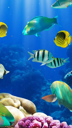 Aquarium Live Wallpaper Fish Tank Background mod screenshots 3