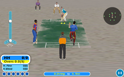Beach Cricket mod screenshots 5