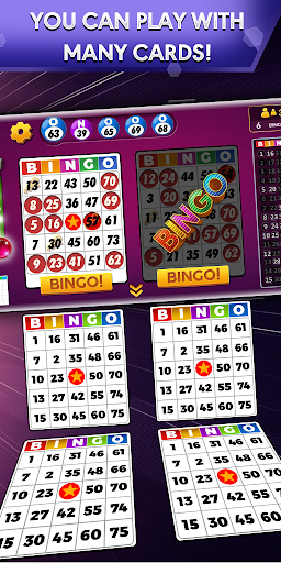 Bingo – Offline Free Bingo Games mod screenshots 1
