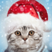 Christmas Photo Frames, Effects & Cards Art MOD