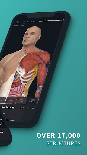 Complete Anatomy 21 – 3D Human Body Atlas mod screenshots 2