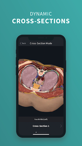 Complete Anatomy 21 – 3D Human Body Atlas mod screenshots 3