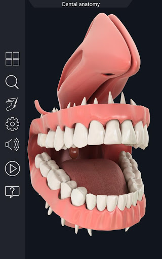 Dental Anatomy mod screenshots 2