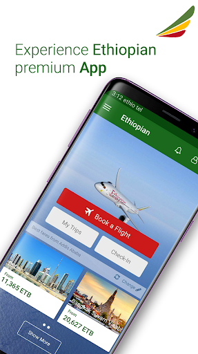 Ethiopian Airlines mod screenshots 1