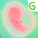 GLOW. Pregnancy & Baby Tracker + Baby Registry App MOD