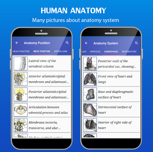 Grays Anatomy – Anatomy Atlas mod screenshots 3