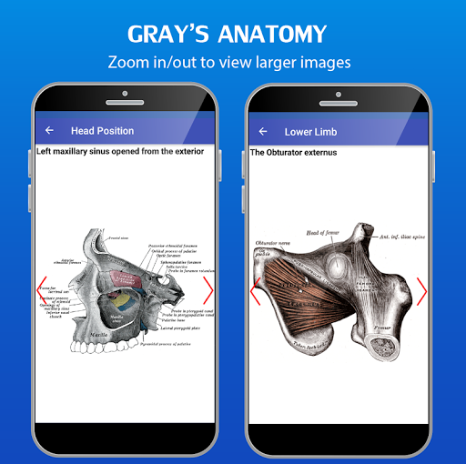 Grays Anatomy – Anatomy Atlas mod screenshots 4