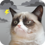 Grumpy Cat Weather MOD