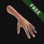 Hand Draw 3D Pose Tool FREE MOD
