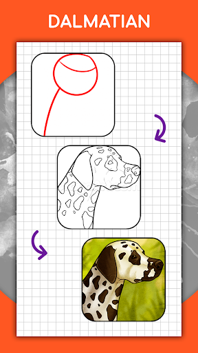How to draw animals. Step by step drawing lessons mod screenshots 5