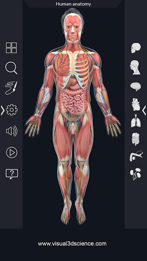 Human Anatomy mod screenshots 3