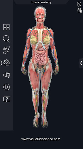Human Anatomy mod screenshots 4