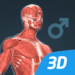 Human body (male) educational VR 3D MOD