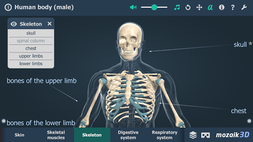 Human body male educational VR 3D mod screenshots 3