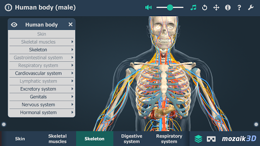 Human body male educational VR 3D mod screenshots 4