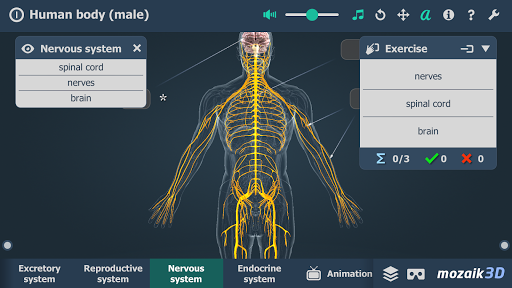 Human body male educational VR 3D mod screenshots 5