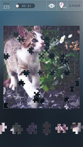 Jigsaw Puzzle World mod screenshots 1