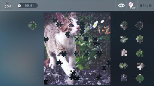 Jigsaw Puzzle World mod screenshots 5