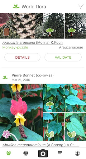 PlantNet Plant Identification mod screenshots 1