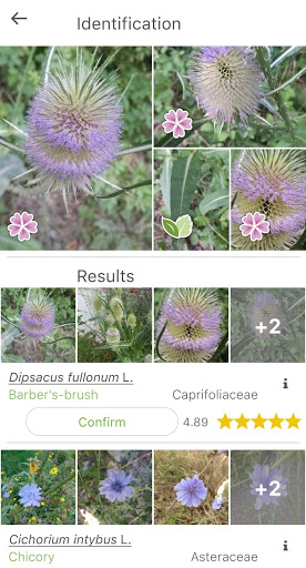 PlantNet Plant Identification mod screenshots 2