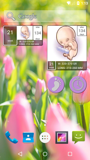 Pregnancy Calendar mod screenshots 1