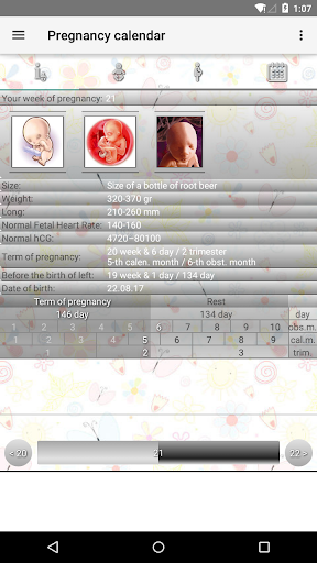 Pregnancy Calendar mod screenshots 2