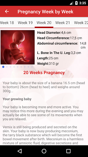 Pregnancy Day by Day mod screenshots 4