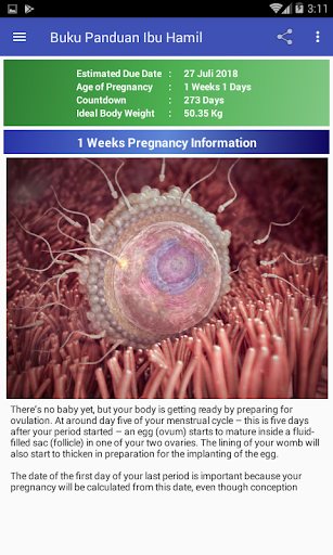 Pregnancy Guide mod screenshots 1