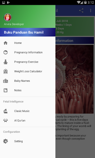 Pregnancy Guide mod screenshots 2