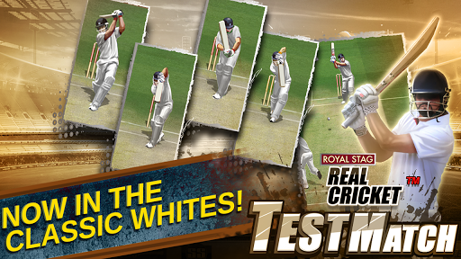 Real Cricket Test Match mod screenshots 3
