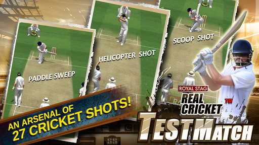 Real Cricket Test Match mod screenshots 4