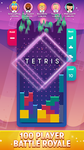 Tetris – The Official Game mod screenshots 2