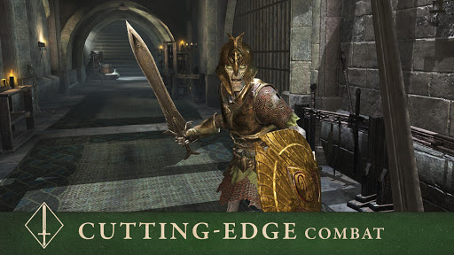 The Elder Scrolls Blades mod screenshots 5