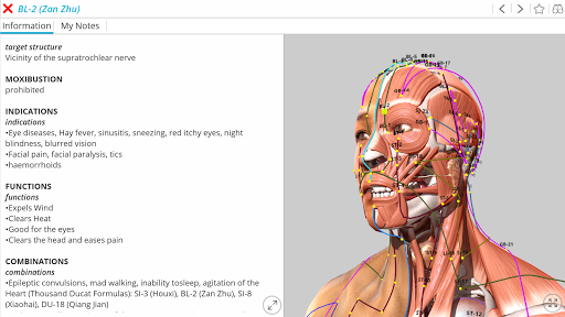 Visual Acupuncture 3D mod screenshots 1