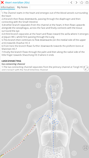 Visual Acupuncture 3D mod screenshots 2