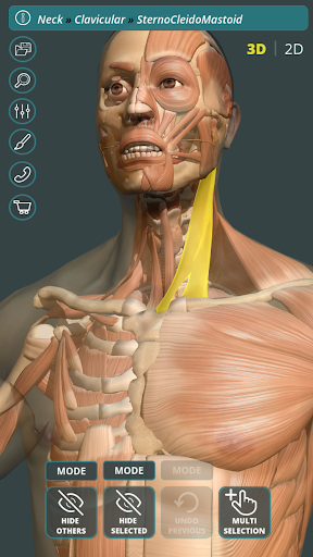 Visual Anatomy 3D Human mod screenshots 1