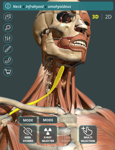Visual Anatomy 3D Human mod screenshots 2