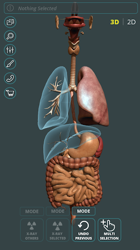Visual Anatomy 3D Human mod screenshots 4