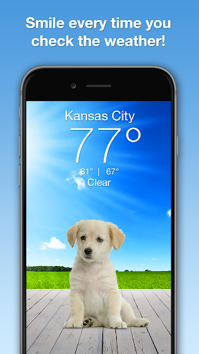 Weather Puppy – App amp Widget Weather Forecast mod screenshots 1
